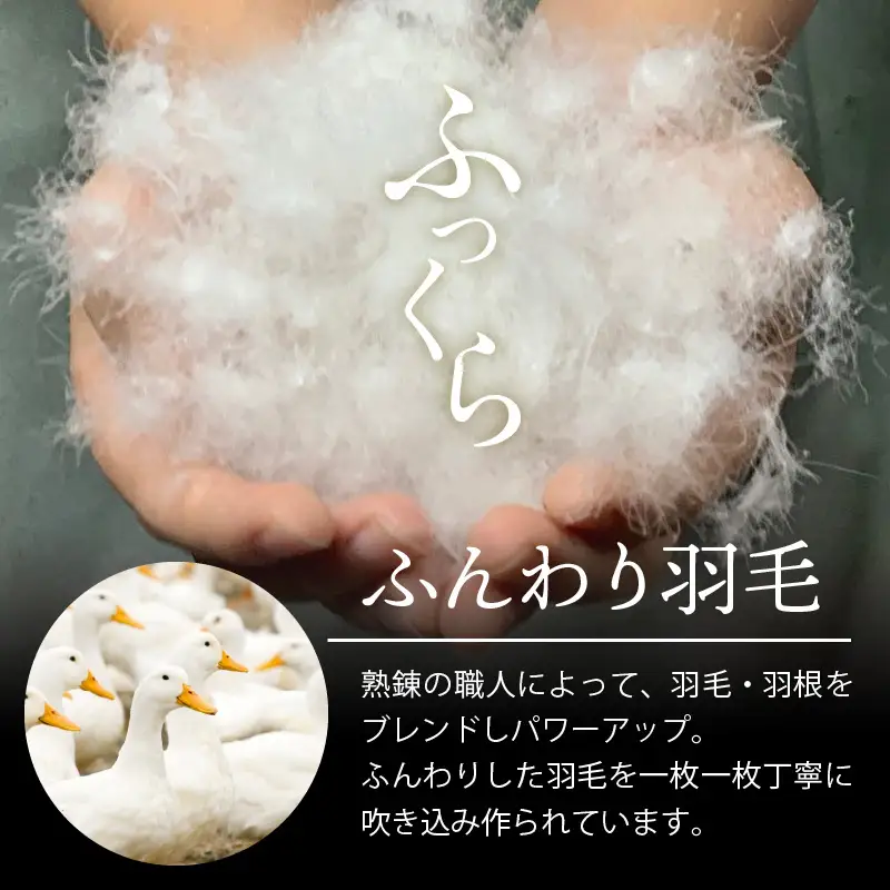 羽毛布団 1枚 シングル 150cm×210cm 訳あり 柄おまかせ