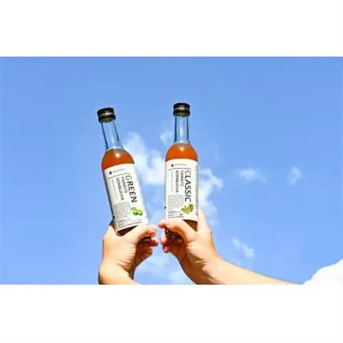 老舗酵素メーカー「大和酵素」が作る、 本物のコンブチャ　(280ml×24本)【1125095】