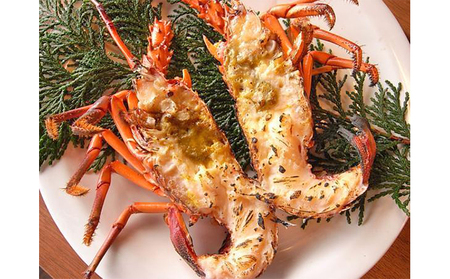 伊勢海老 冷凍 1kg 漁師直送 伊勢エビ 伊勢海老