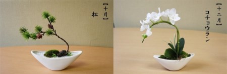 【偶数月にお届け】和モダン 苔盆栽の6回定期便 