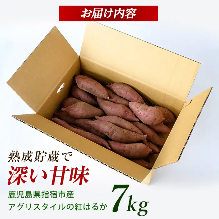 2026年11月上旬～発送 指宿産 紅はるか 約7kg IB066-006 さつまいも