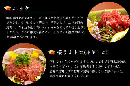 厳選プレミアム 馬刺し セット 460g 熊本 千興ファーム 馬肉 《60日以内に出荷予定(土日祝除く)》 冷凍 配送 新鮮 さばきたて 真空パック SQF ミシュラン 生食用 肉 菅乃屋 熊本県御船町 数量限定  贈答用 ギフト 