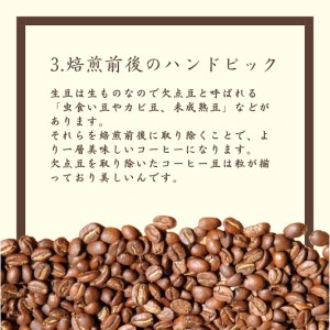 【定期便12か月】焙煎幸房そら『季節のブレンド』200g 粉