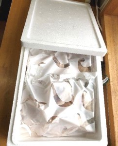 【冷凍】土佐沖 天然 さば フグ 切り身 鍋用（400g×2袋）約800g［1363-2］