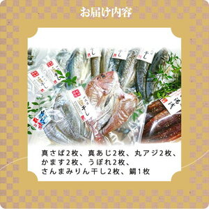 特選 干物セット 7種 13枚 さば アジ かます うぼれ 鯛 さんま 鮮魚問屋 鮮度 抜群 新鮮 保存料 不使用 こだわり 魚 塩味 漬けだれ みりん干し 旨味 凝縮 水産加工品 干物 セット 詰め合わせ お取り寄せ 送料無料 冷凍_AD6007n