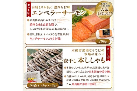 栄三郎商店海産物セット_I027-0482