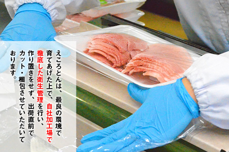 えころとん・豚肉6種(計1110g)　豚肉バーベキューセット《60日以内に出荷予定(土日祝除く)》熊本県産 有限会社ファームヨシダ
