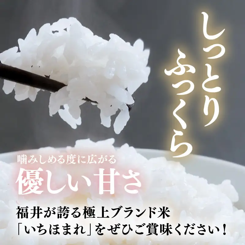  【令和7年産】いちほまれ 精米 10kg 《ギフトにもおすすめ！化粧箱入り》／ 福井県産 ブランド米 白米 贈り物 お取り寄せ [aw003-c001]