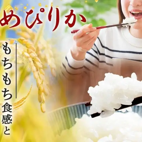米 お米 ゆめぴりか 20kg 令和8年産 北海道 お米 米 ゆめぴりか