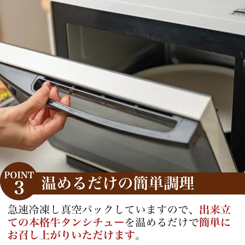 牛タンシチュー250g×2パック(合計500g)