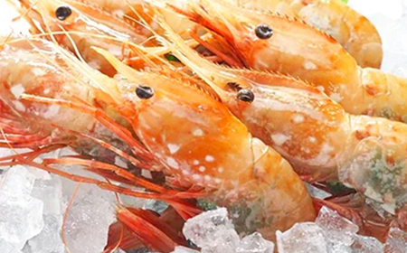北海道噴火湾産ボタンエビメス400g×4＜海鮮問屋　株式会社　瑞宝＞ えび エビ 海老 ぼたんえび ぼたん海老 ボタン海老 ボタンエビ ぼたんエビ ボタンえび 牡丹海老 北海道 森町 mr1-0531
