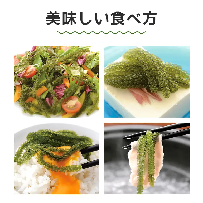 朝採れ! ぷちぷち 海ぶどう 400g 沖縄県産 海ブドウ たれ付き 無着色 沖縄 特産品 沖縄グルメ 海の宝石 海藻 海ぶどう丼 サラダ おつまみ おかず 沖縄料理 常温保存 贈答用 ギフト 産地直送 沖縄県 糸満市