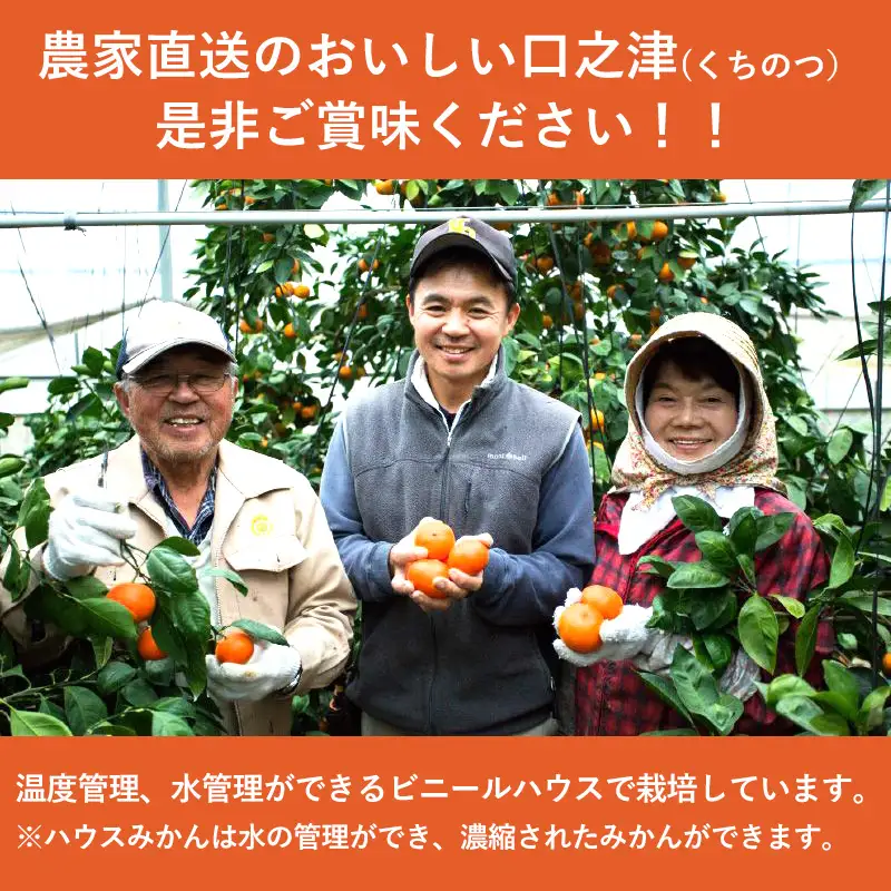 『先行予約』【令和9年1月下旬発送】浜王(はまおう) ハウス栽培 唐津産 5kg 口之津(くちのつ) 39号みかん フルーツ 果物 柑橘 かんきつ