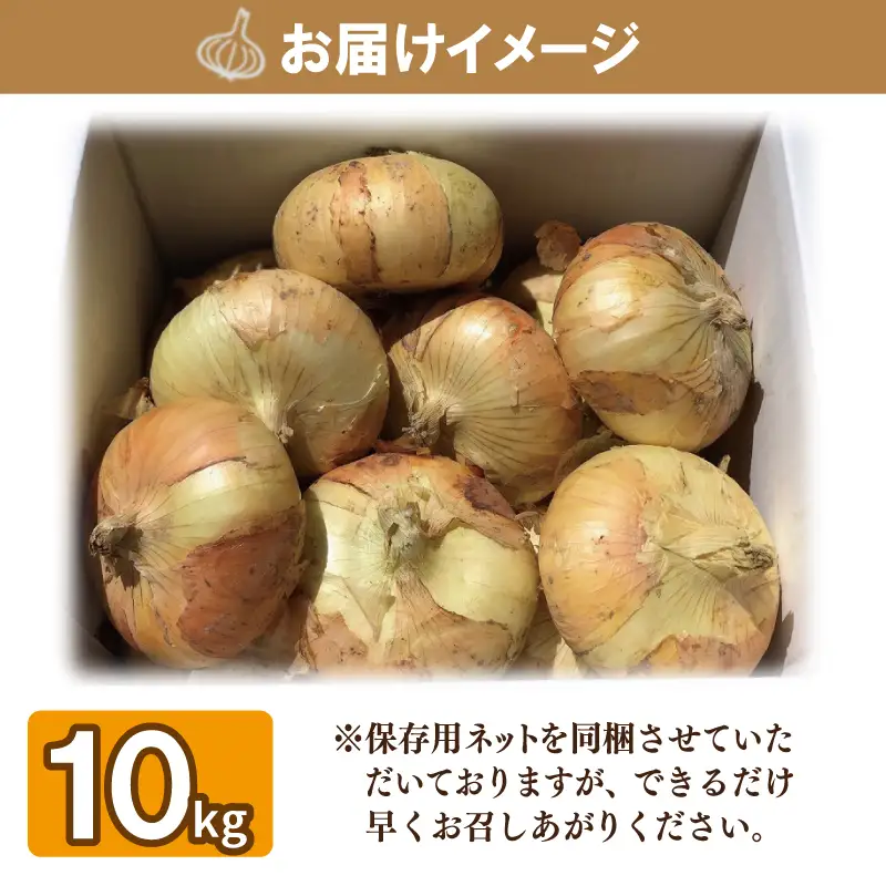 【先行予約】 数量限定 幻のたまねぎ 泉州黄玉ねぎ 10kg