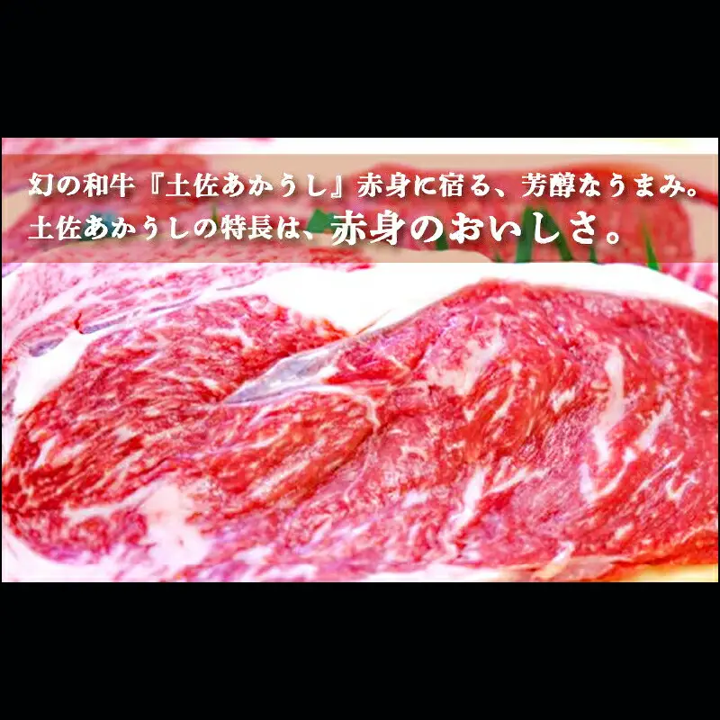 土佐あかうし 和牛サーロイン／ステーキ 500g（250g×2枚） | あか牛 赤身 旨味 希少 幻 贈り物 ギフト 高知県 南国市