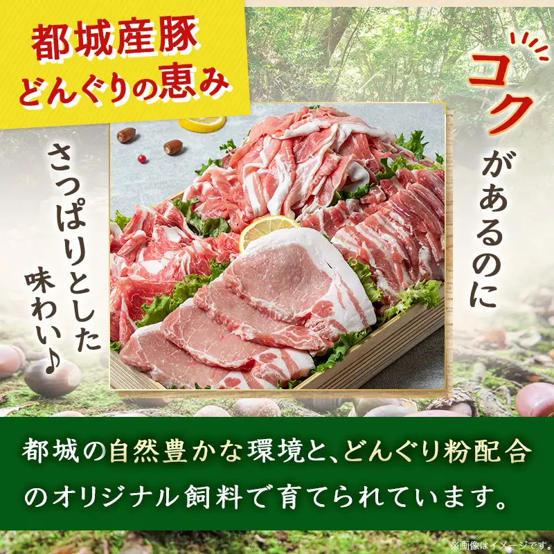 「どんぐりの恵み豚」キャンプ飯3.6kgセット〔17-1104〕_(都城市) 都城産豚 どんぐりの恵み ロースステーキ バラワイルド焼肉 肩ロース焼肉 モモ焼きそば用 ウデ大判スライス スペアリブ焼肉 真空包装 3.6キロ 200g 300g BBQ キャンプ