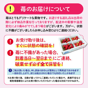 いちご 約1kg 先行予約 2026年11月より順次発送 いちご