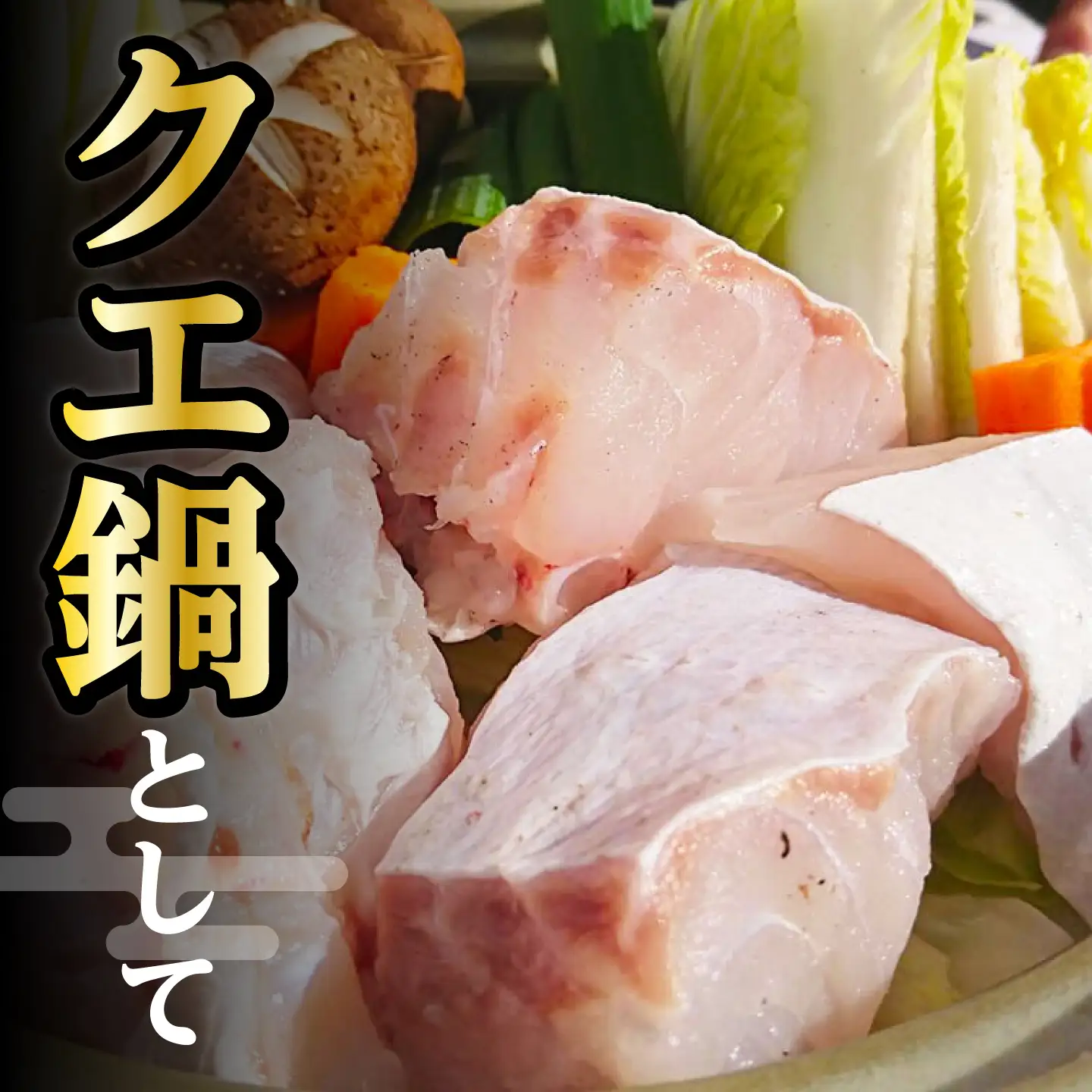 【2026年10月より順次発送】対馬産 幻の高級魚 クエ 2kg [WAA003] くえ  