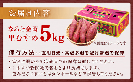 【予約受付中・2026年9月下旬頃より順次発送】さつまいも なると金時（里むすめ）5kg 鳴門金時 箱入り さつまいも