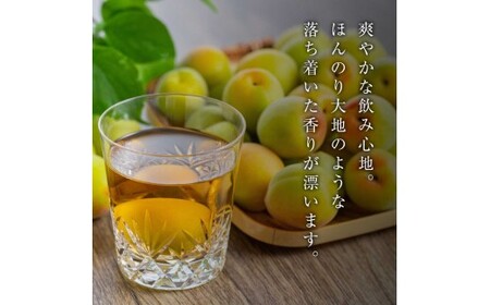 知多梅酒720ml×1本 梅酒 お酒 國盛 國盛FARM 果実酒 食前酒 リキュール ロック ソーダ割 紅南高梅 南高梅 完熟梅 フルーツ 愛知県 美浜町 中埜酒造