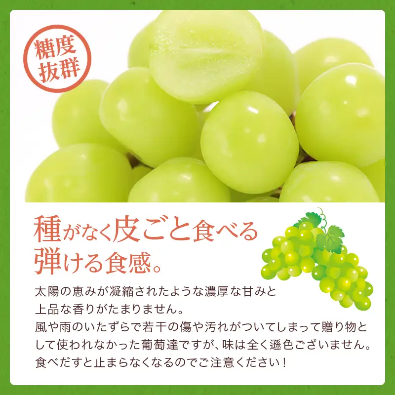 ぶどう 2026年 先行予約 ご家庭用 シャイン マスカット 約2kg 糖度抜群！ 【8月中旬～順次発送分】 ブドウ 葡萄  岡山県産 国産 フルーツ 果物 果物類 