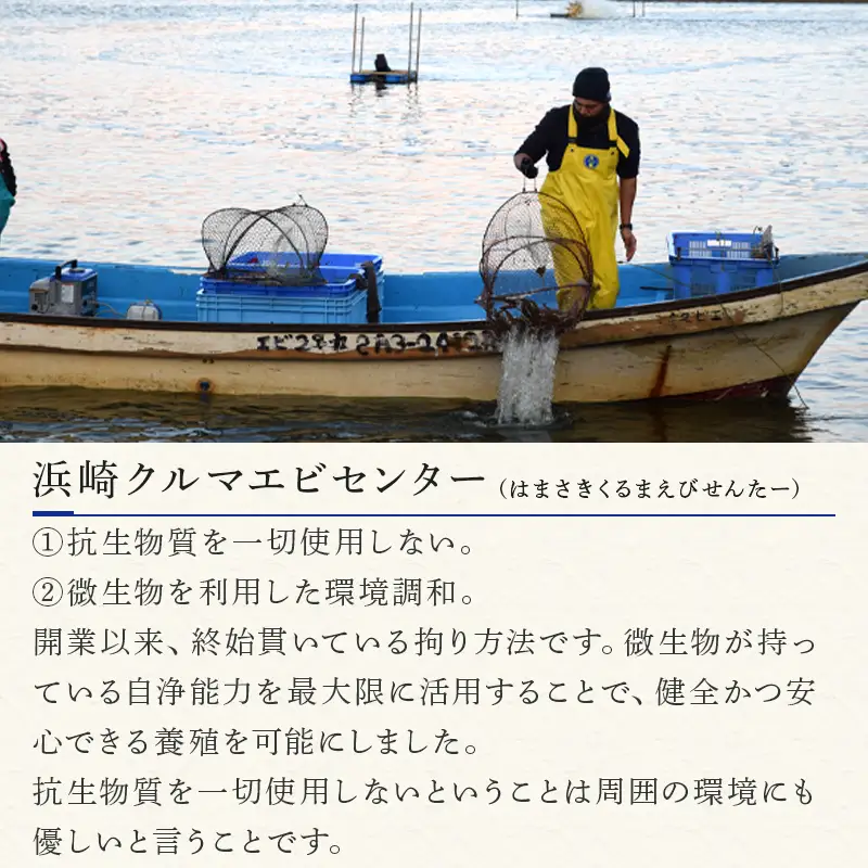 唐津特産活プロトン冷凍車海老と車えび醤(じゃん)のセット(250g×2P 醤90g)