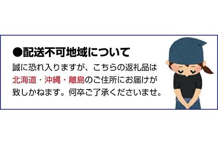 紀州名産　塩わかめ　約1kg（約200g×5）【hsc103】
