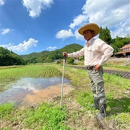 高津川の恵み 特別栽培米ヘルシー元氣米5kg×2袋(10kg)(令和7年産)【1209635】