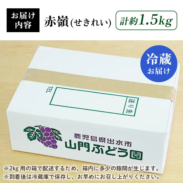 i213 ≪数量・期間限定≫赤嶺(セキレイ) (計約1.5kg) ぶどう グレープ 果物 くだもの フルーツ 葡萄 旬 糖度 上品な甘さ 歯ごたえ 冷蔵 【山門ぶどう園】