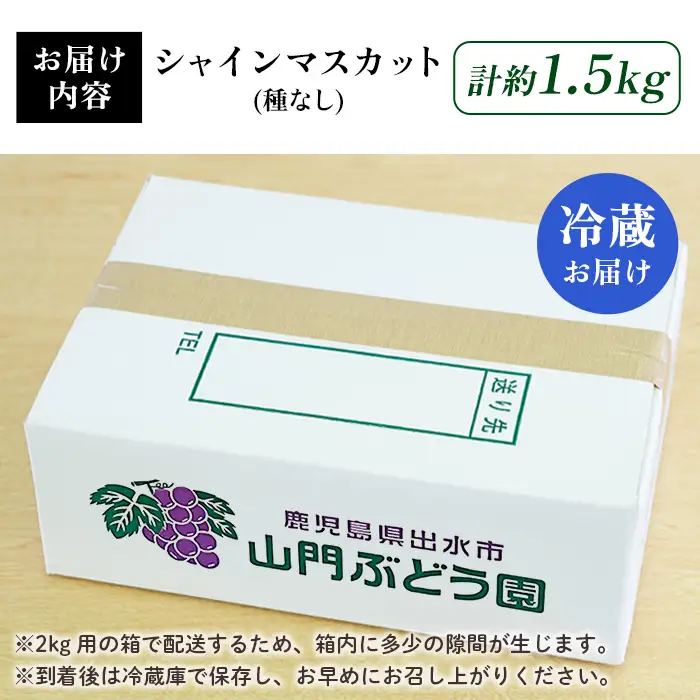 i214 ≪数量・期間限定≫シャインマスカット (計約1.5kg) 国産 鹿児島 出水市 ぶどう ブドウ 果物 くだもの フルーツ シャインマスカット マスカット 葡萄 旬 種なし 旬 歯ごたえ 冷蔵 【山門ぶどう園】