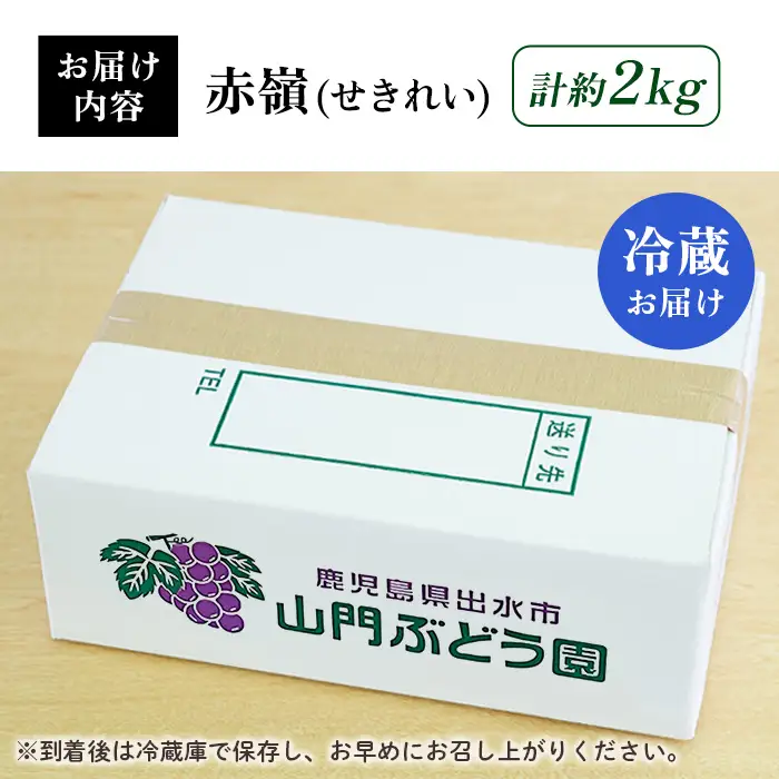 i348 ≪数量・期間限定≫赤嶺(セキレイ) (計約2kg) ぶどう グレープ 果物 くだもの フルーツ 葡萄 旬 糖度 上品な甘さ 歯ごたえ 冷蔵 【山門ぶどう園】