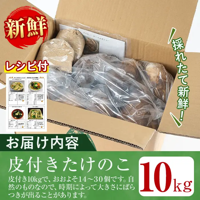 i365 ≪数量限定！先行予約受付中！2027年4月上旬～4月中旬の間に発送予定≫鹿児島県出水市産！タケノコ＜皮付き10kg＞ たけのこ 筍 タケノコ 国産 皮付き 野菜 旬 新鮮 採りたて 煮物 味噌汁 炊き込みご飯 【シンタク】