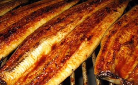 H7-93B国産うなぎ長蒲焼特大2尾セット（タレ・山椒付）