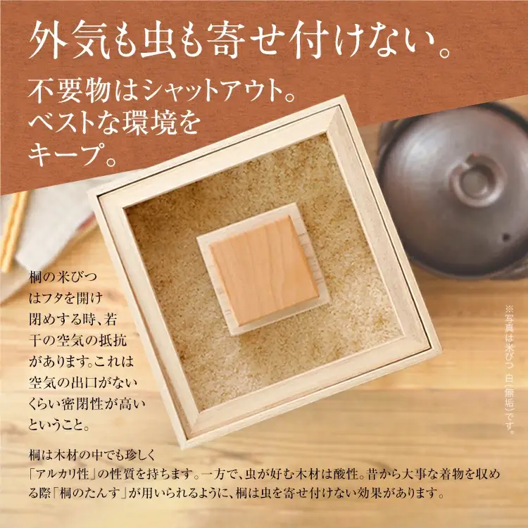 【ふるなびWEEK対象】米びつ ５kg タイプ 米びつ