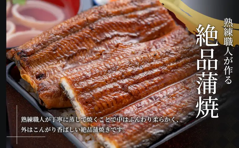 うなぎ 国産 超特大 長蒲焼き 2尾 400g以上 うなぎ