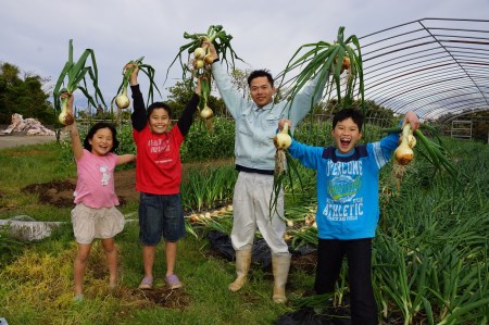 旬のお野菜詰め合わせセット