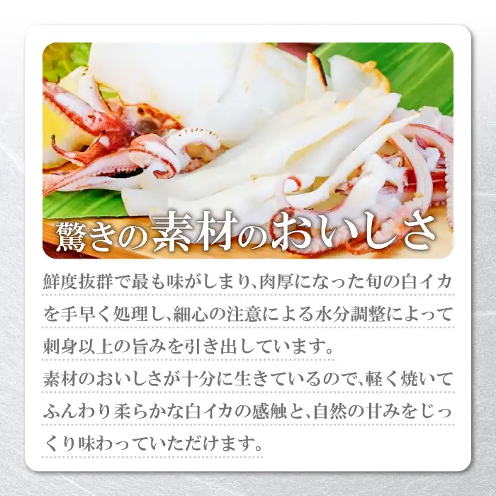 「釣りものケンサキイカに厳選」白いか一夜干（3枚入）【いか一夜干し 白いか 干物 60～80g 3枚 一夜干し 一夜干 イカ いか ケンサキイカ 贅沢 おつまみ お酒の肴 贈答 ギフト 冷凍 父の日 母の日】
