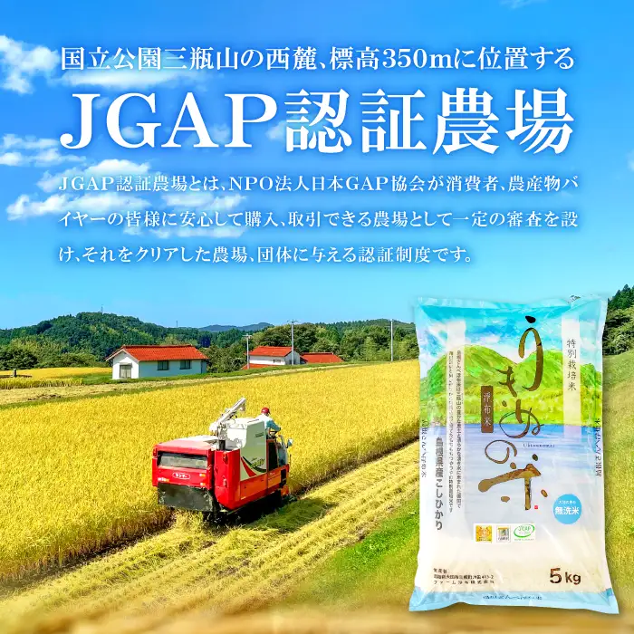 さんべ浮布米（無洗米）5kg【令和7年産 お米 コシヒカリ 5kg こしひかり 無洗米 2025年産 特別栽培米 米 おこめ こめ うるち米 浮布米 減農薬 減化学肥料 美味しまねゴールド認証 島根県産 大田市産】