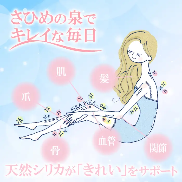 ナチュラルミネラルウォーター「さひめの泉」2L×6本×2箱【水・ミネラルウォーター 2000ml 水 2L 12本 天然水 ミネラルウォーター 軟水 シリカ水 シリカ ペットボトル】