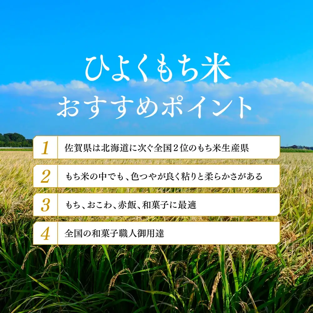 令和7年産 佐賀県産ひよくもち米 10kg(H015220)