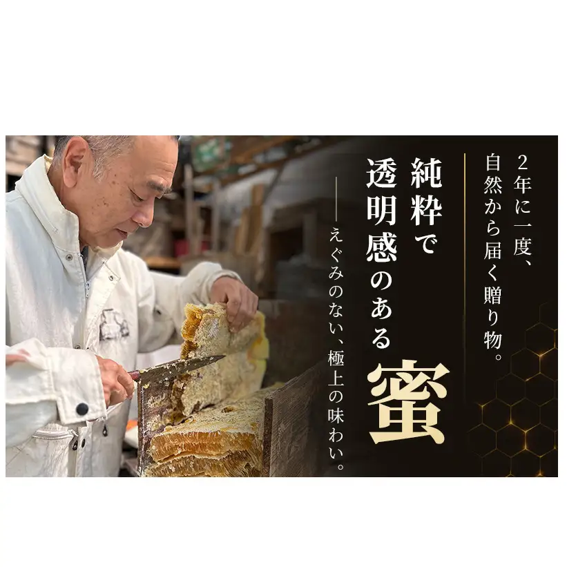 信州日本みつばち 和蜂蜜（600g）
