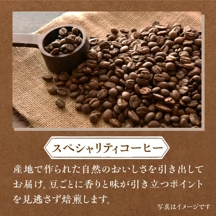 LAJA・スペシャリティコーヒーセット【200g×3袋】 ドリップ オフィス キャンプ カフェ 粉 ギフト こだわり 吉野ヶ里町/ラジャコーヒー [FBR002]