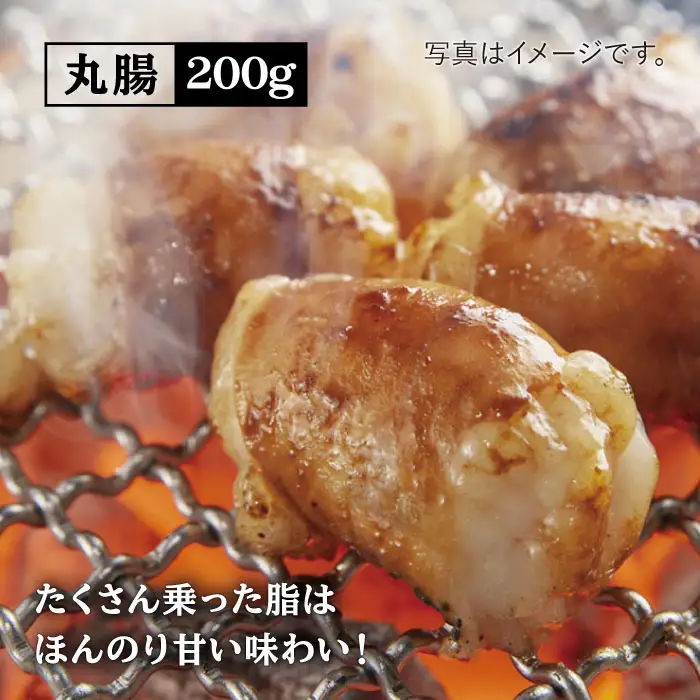 【味付】【大容量】ホルモン専門店の豪華！焼き肉4種セット計1kg（和牛ハラミ 400g ／ 豚ハラミ・丸腸・シマ腸 各200g） 吉野ヶ里町/三田川ホルモン専門店 [FAC011]