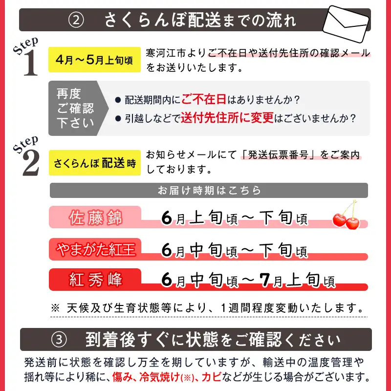 《先行予約》 令和9年産 山形県産 さくらんぼ 紅秀峰 600g 2L以上 特秀品 【2027年6月中旬頃から7月上旬頃発送予定】 ※配送不可 沖縄・離島　032-A-AF022