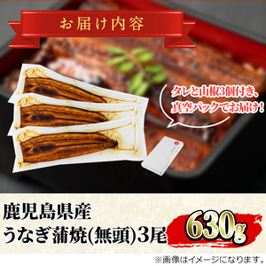 東串良町のうなぎ蒲焼(無頭)(3尾・計約630g・タレ、山椒付)うなぎ 高級 ウナギ 鰻 国産 蒲焼 蒲焼き たれ 鹿児島 ふるさと 人気【アクアおおすみ】【0204356a】