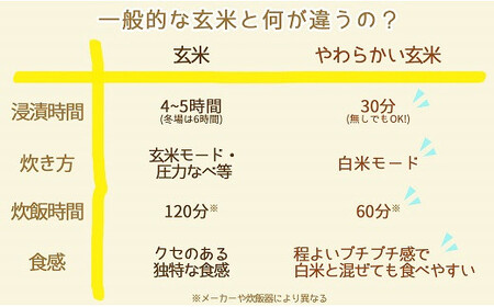 やわらかい玄米 900g ※12回定期便　安心安全なヤマトライス 小分け 米 こめ コメ ごはん 栄養豊富 簡単 便利 美容 健康 新食感 もちもち 安心安全なヤマトライス　H074-650