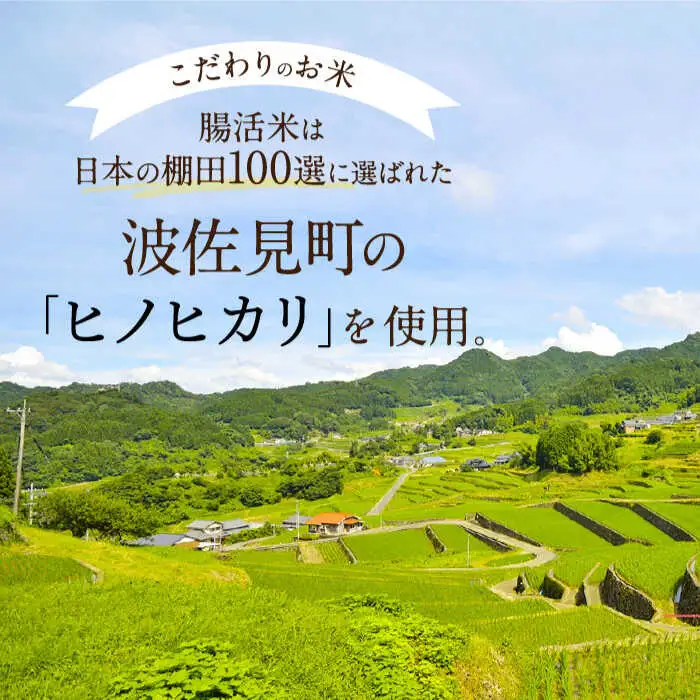【お中元・ギフトおすすめ】腸活米 2kg ( 無洗米 )【出島トンボロ】 [VD01] 米 白米