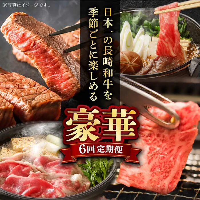 【全6回】【内閣総理大臣賞受賞！】長崎和牛 毎月お届けセット ( 希少部位アリ ) 1kg×6回 [YA20]  肉 牛肉 ロース サーロイン ステーキ サーロインステーキ レモンステーキ すき焼き しゃぶしゃぶ 焼肉 定期便