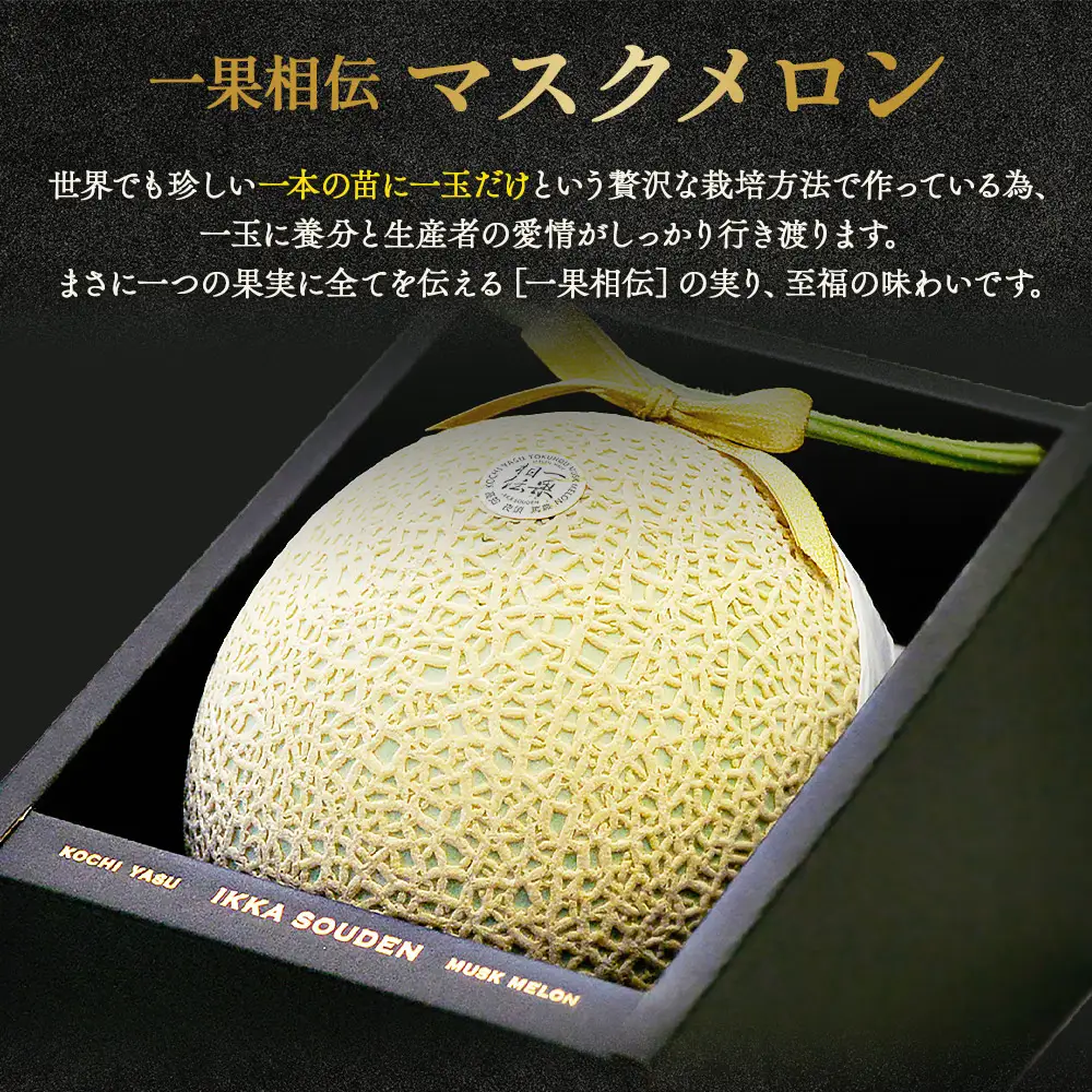 【発送開始】マスクメロン(贈答用) 1玉入 青肉品種 高級メロン！ ／ マスクメロン 果物 フルーツ ギフト 農家直送 tn-0010