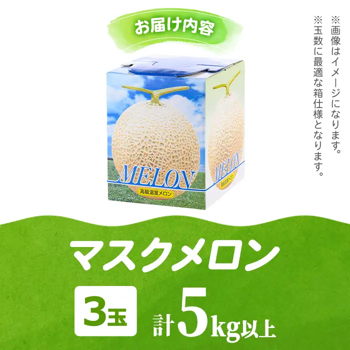  マスクメロン （3玉・計5kg以上) フルーツ 果物 果実 まる美園芸組合 0352206a